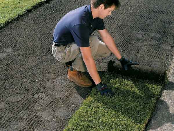 Как правильно уложить искусственный газон своими руками