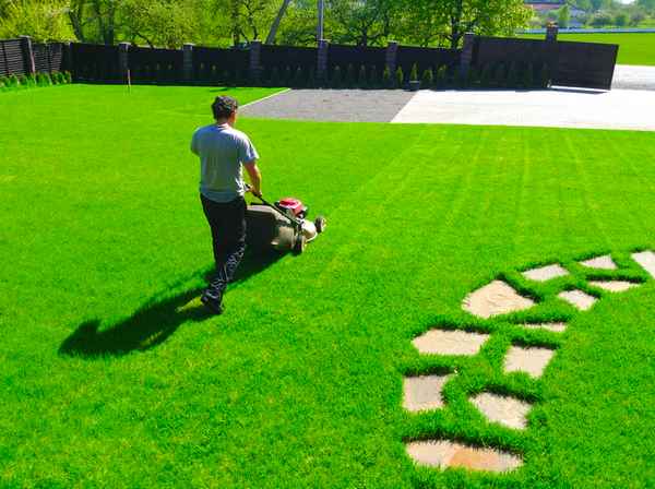 Как ухаживать за рулонным газоном