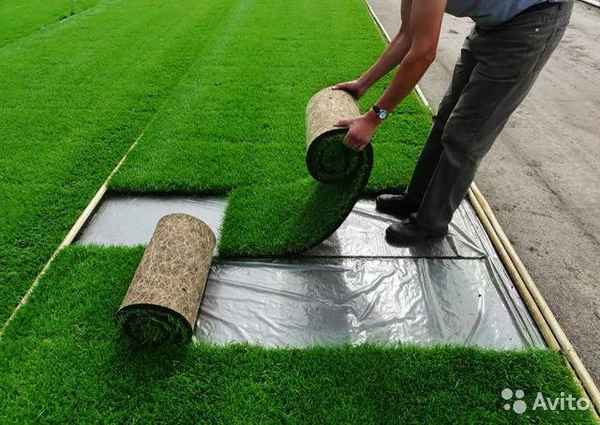 Нужно ли стелить геотекстиль под газон, его выбор и укладка