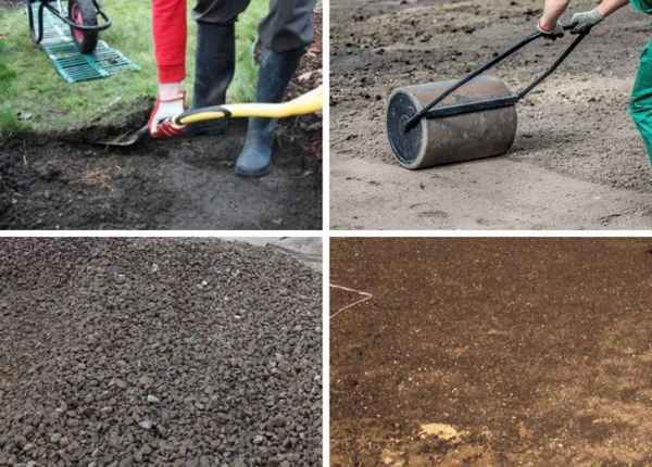 Посадка газонной травы в августе