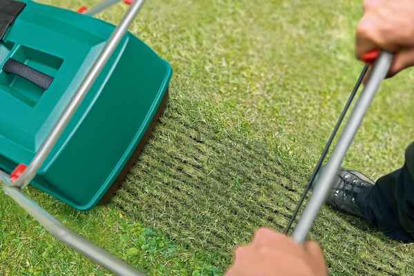 Как правильно проводить аэрацию газона