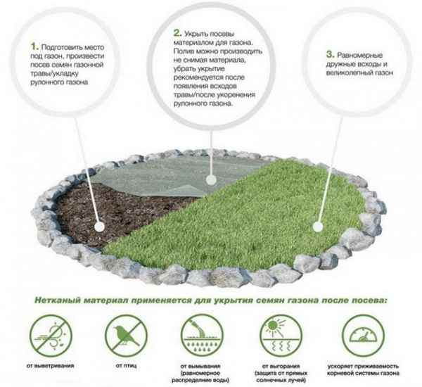 Нужно ли накрывать газон после посева и выбор укрывного материала