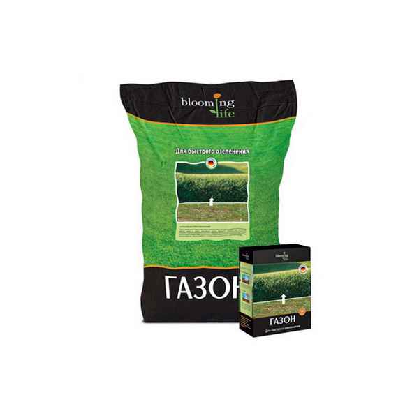 Низкорослая газонная трава, не требующая стрижки