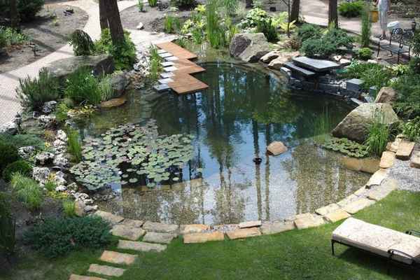 Преимущество пруда на участке и его недостатки