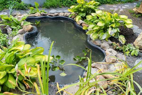 Какую чашу лучше выбрать для садового пруда