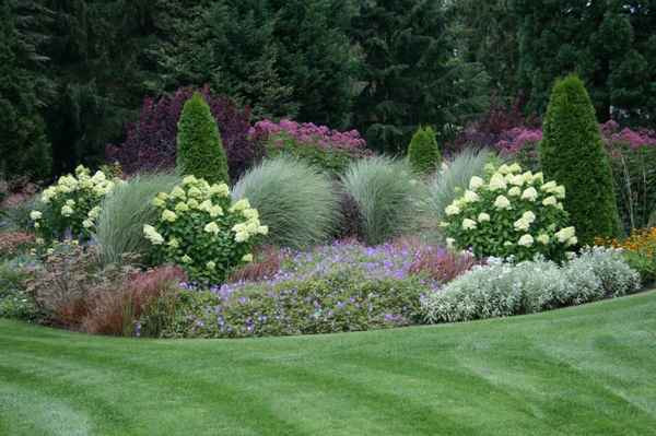 Куртина в ландшафтном дизайне