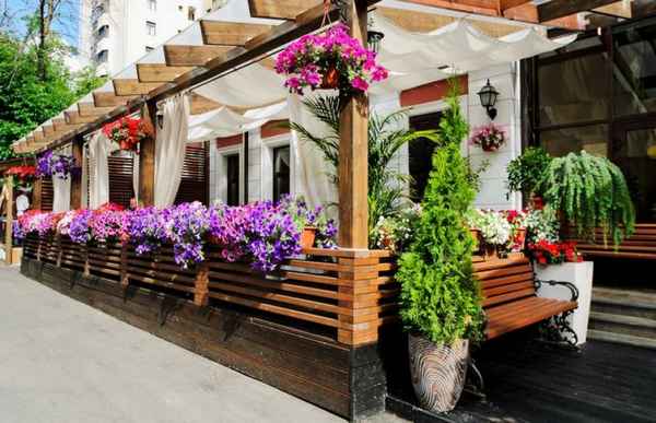 10 лучших растений для украшения летней террасы