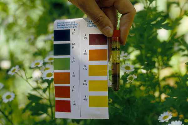 Тестирование pH почвы