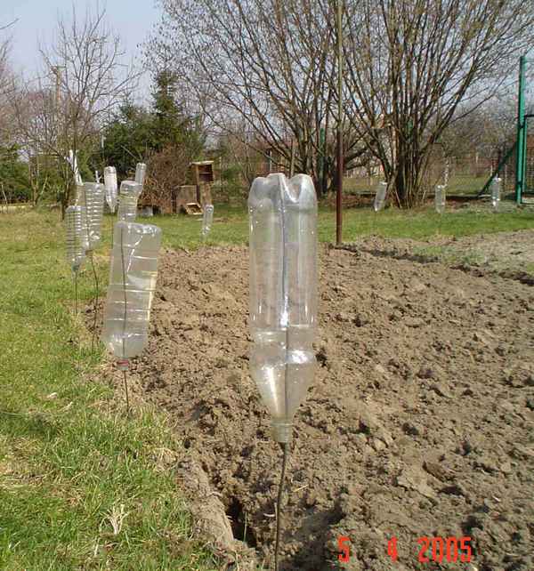 Как избавиться от кротов на участке