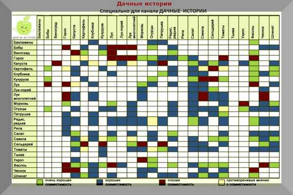Соседство елей с другими растениями