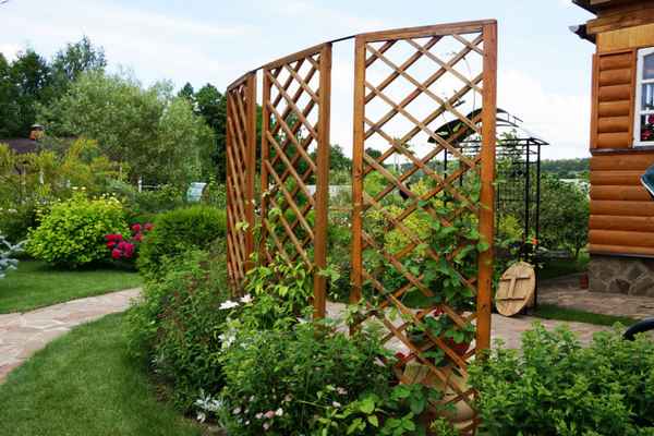 Использование шпалер в ландшафтном дизайне