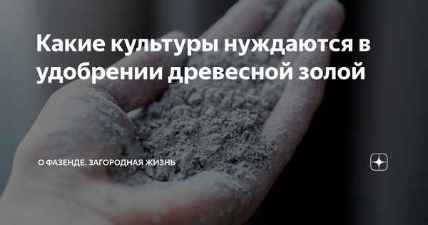 Какие 5 культур нуждаются в удобрении древесной золой?