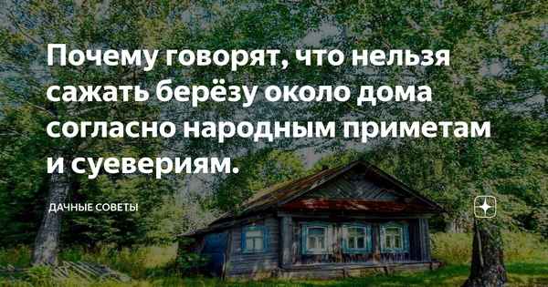 Почему нельзя сажать березу возле дома и чего ждать от такого соседства ? счастья или беды