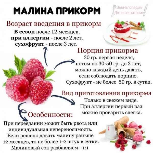 С какого возраста можно давать малину детям