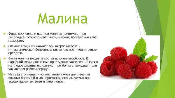 Можно ли малину беременным