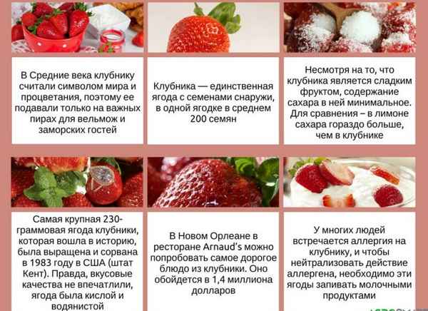Особенности влияния клубники на организм беременных