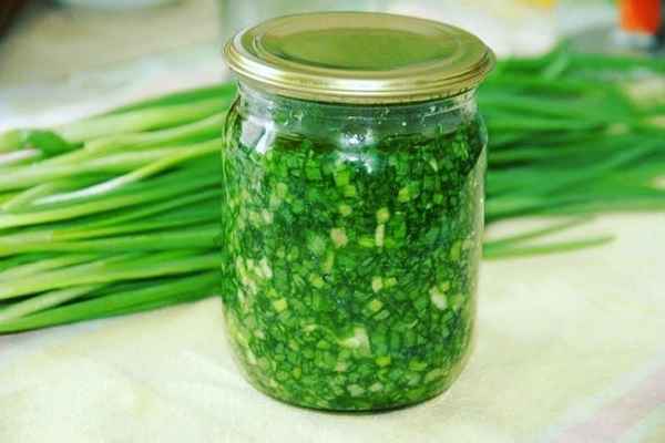 Как заготовить и сохранить зелёный лук на зиму?