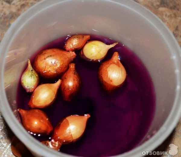 Как и чем обpaбатывать лук перед посадкой