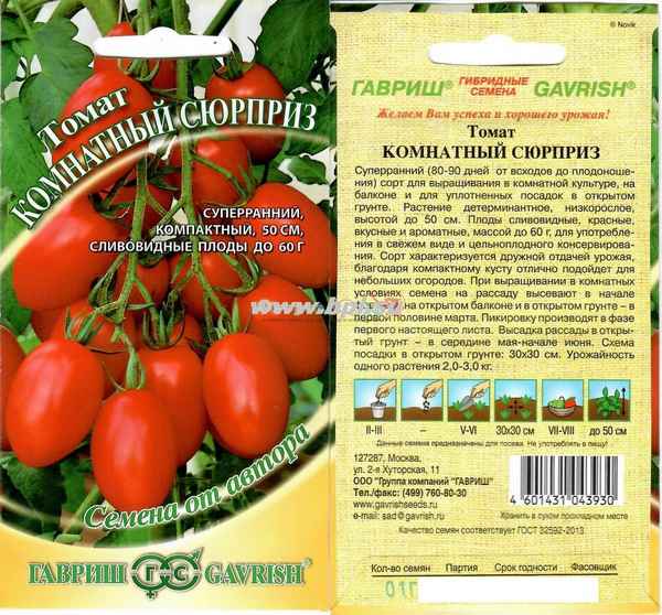 Комнатный сюрприз томат выращивание