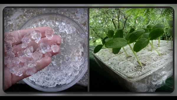 Гель для выращивания растений