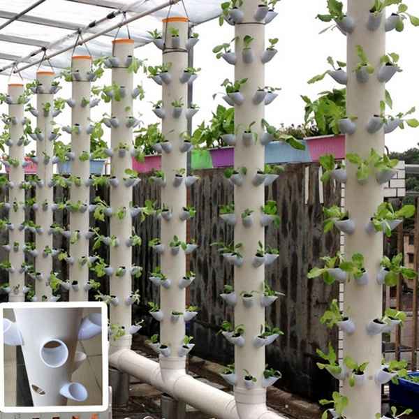 Гидропоника оборудование для выращивания клубники