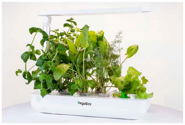 Система для выращивания зелени дома