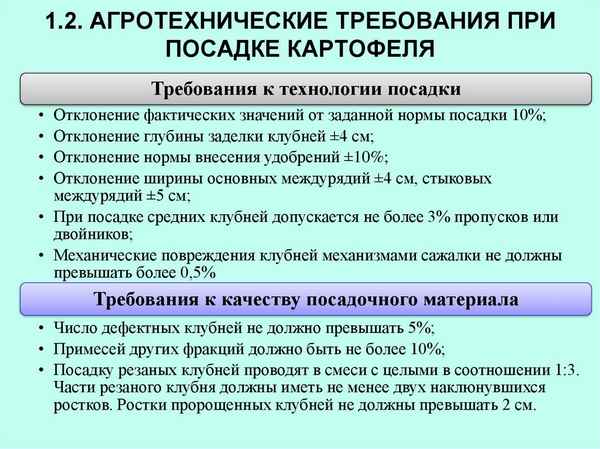 Агротехнические требования к посадке картофеля