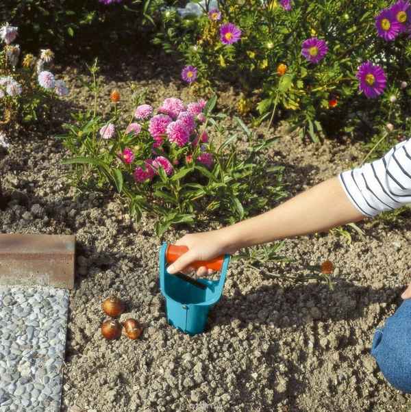 Приспособление для посадки тюльпанов