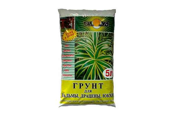 Почва для драцены комнатной