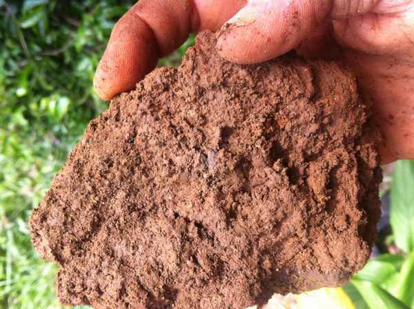 Суглинистая почва что это такое?
