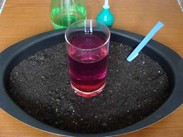 Как обеззаразить почву для комнатных растений?