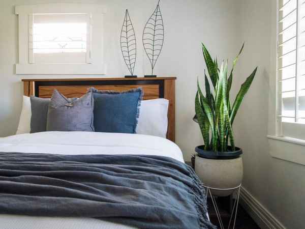 Какие растения лучше держать в спальне?