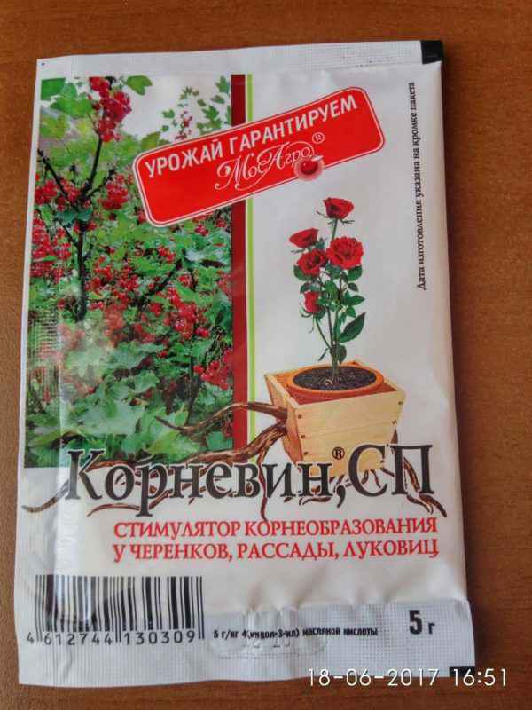 Корневин для комнатных растений применение