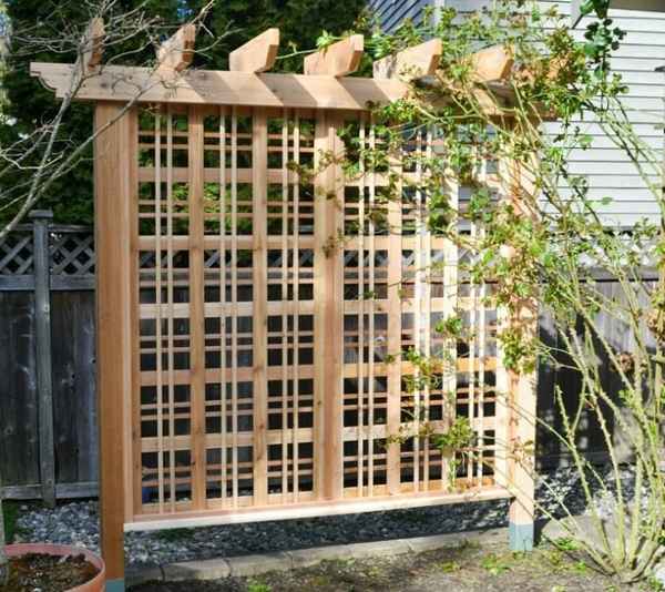 Пергола для вьющихся растений своими руками