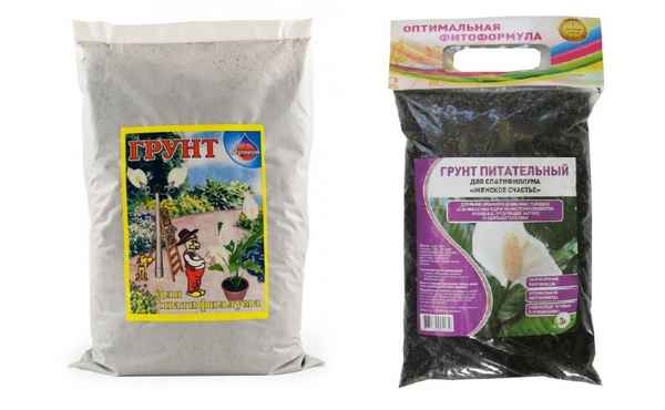 Почва для спатифиллума в домашних условиях