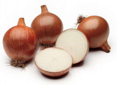 Сорт лука Шетана