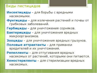 Инсектициды: что это такое, как действуют и какие бывают?