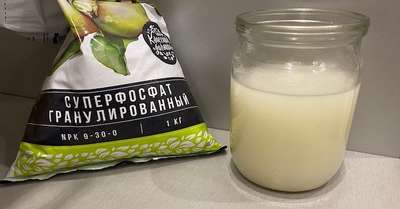 Как растворить суперфосфат в воде? (рубрика)