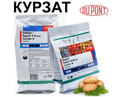 Фунгицид Курзат