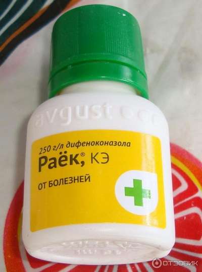 Фунгицид Раек