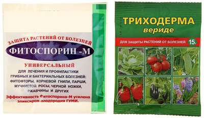 Препарат Фитоспорин М (рубрика)