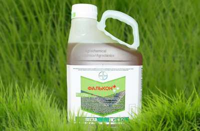 Фунгицид Фалькон
