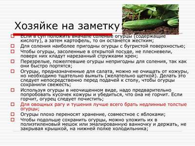 Как сохранить огурцы свежими?