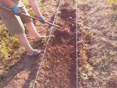 Подготовка грядки для посадки клубники