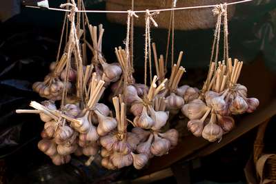 Хранение чеснока