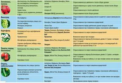 Обработка крыжовника весной от болезней и вредителей