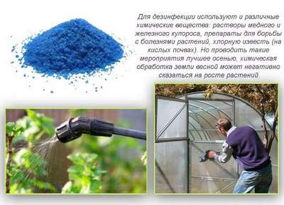 Как обработать теплицу весной медным купоросом?