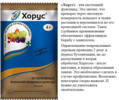Фунгицид Хорус для обработки растений от болезней