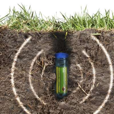 Как избавиться от кротов?