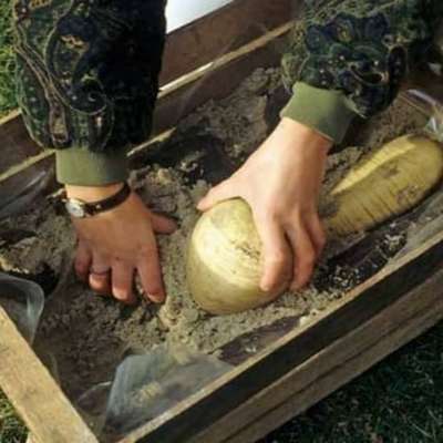 Хранение репы на зиму